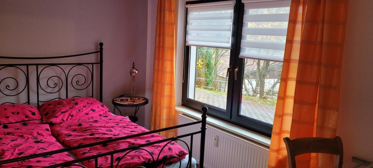 Fewo Harz Haennig 1 비다 외부 사진