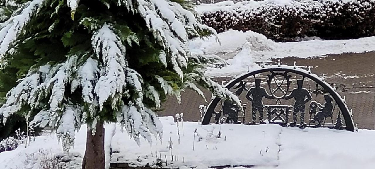 Fewo Harz Haennig 1 비다 외부 사진