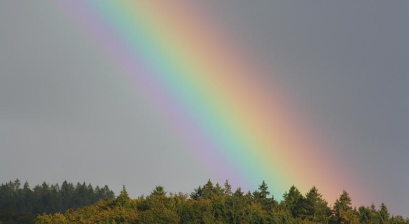 Fewo Harz Haennig 1 비다 객실 사진
