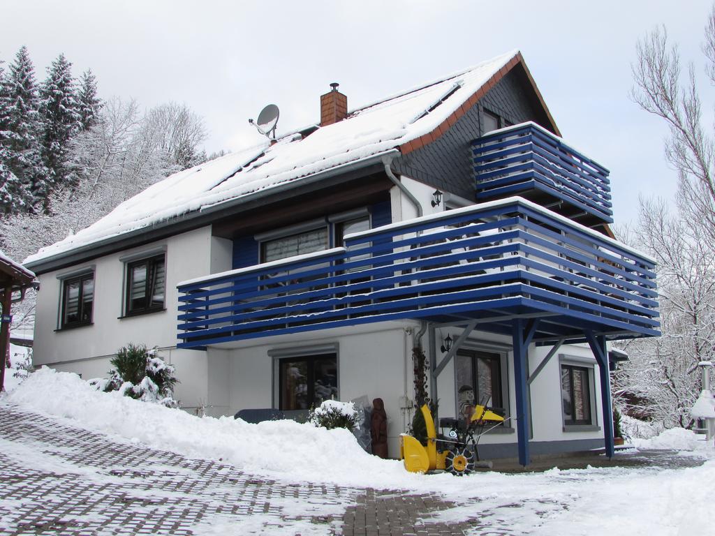 Fewo Harz Haennig 1 비다 외부 사진