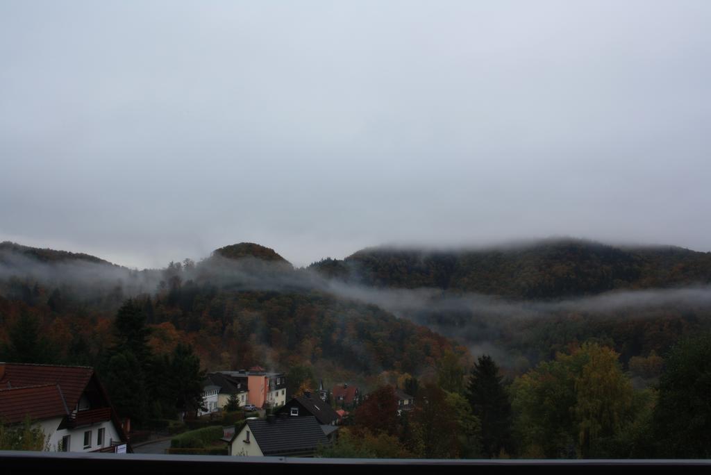 Fewo Harz Haennig 1 비다 외부 사진